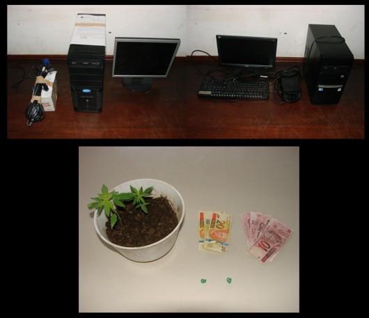 Após localizar autor de furto, PM de Araranguá apreende pés de maconha