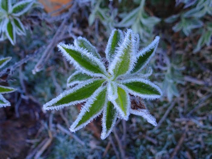 Urupema registra temperatura negativa novamente