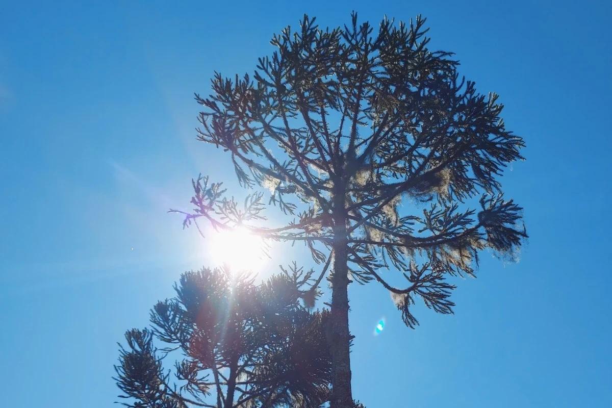 Último dia de abril será de sol e temperaturas amenas na região carbonífera
