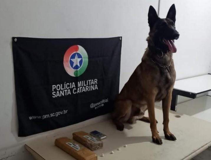 PM de Araranguá apreende mais de um quilo de maconha em terreno baldio