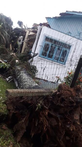 Duas quedas de árvores em menos de 100 metros e uma casa destruída no São Luiz