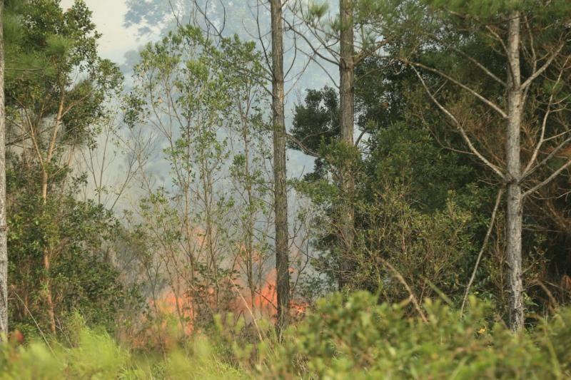 Bombeiros seguem no combate ao fogo na Serra do Tabuleiro