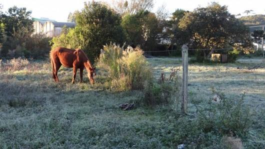 Previsões se confirmam e temperaturas despencam em Santa Catarina