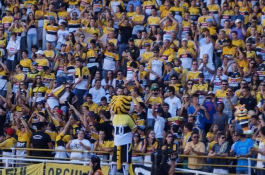 Contagem regressiva para se associar ao Tigre