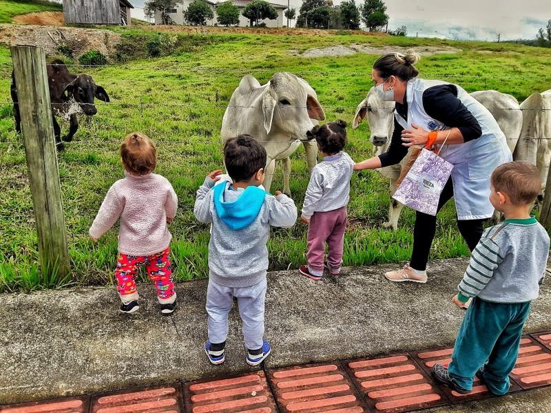 Creche de Nova Veneza promove resgate histórico sobre meio ambiente