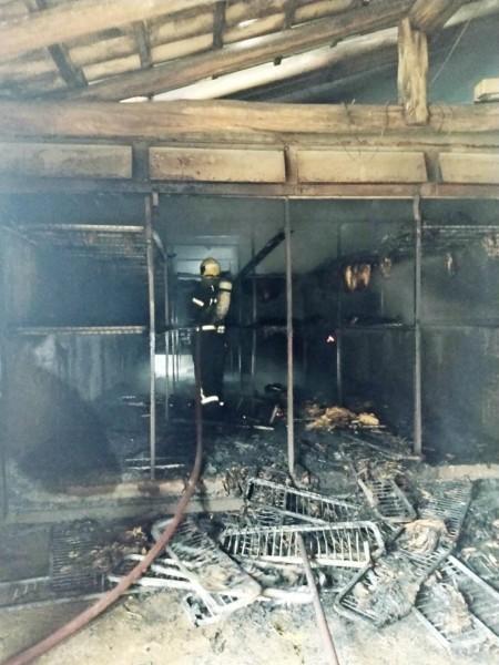 Bombeiros combatem incêndio em estufas de fumo e prejuízo chega a R$ 40 mil em Orleans