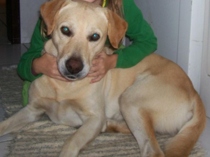 (Encontrado) Procura-se Tobias