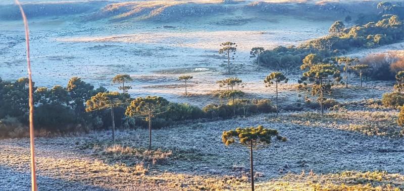 Com temperatura negativa, São Joaquim amanhece coberta de gelo 