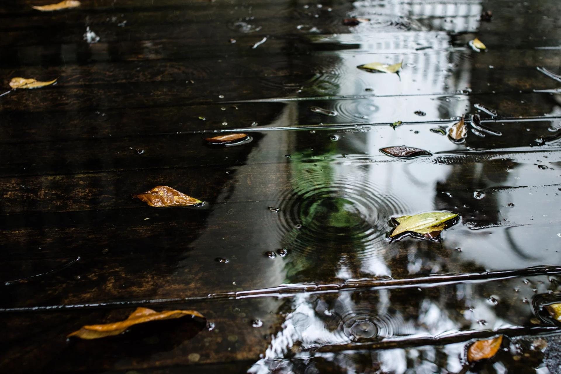 Chuva: Criciúma acumula volume de seis dias em 24 horas; veja o que esperar desta quarta-feira
