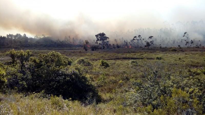 Bombeiros utilizam 45 mil litros de água para combater incêndio em vegetação 