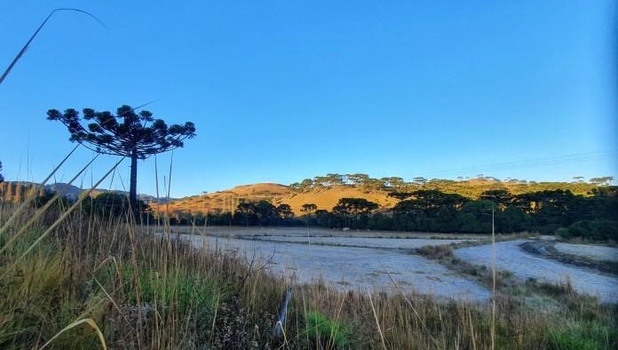 Na Serra, teve geada e temperatura negativa durante o amanhecer