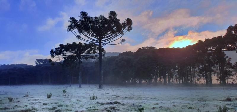 Geada e temperaturas negativas marcam início da primavera na Serra catarinense