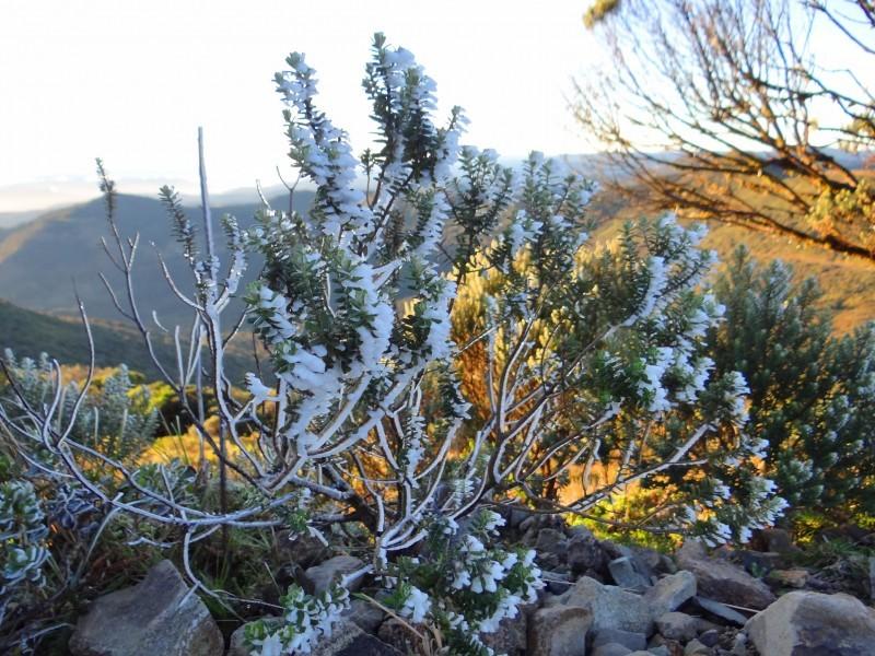 Climaterra: pior frio do ano chega no fim de semana