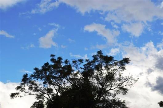 Umidade de deserto em Santa Catarina: Saiba como se proteger