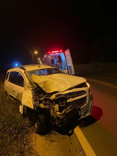 Condutor de Criciúma colide veículo contra cavalo na SC-443 em Sangão 