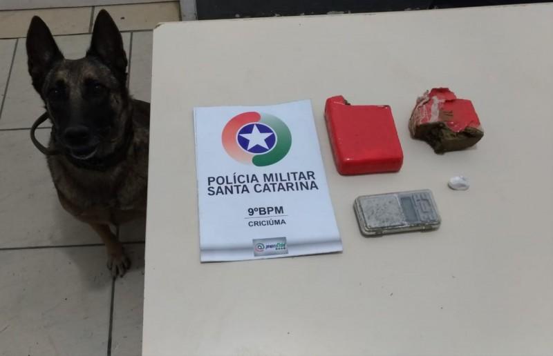 Com a ajuda da cadela Flecha, PM de Criciúma encontra mais de meio quilo de maconha