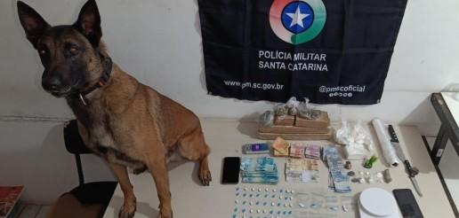 Jovem é preso por tráfico após ser encontrado com grande quantidadede de drogas em Sombrio