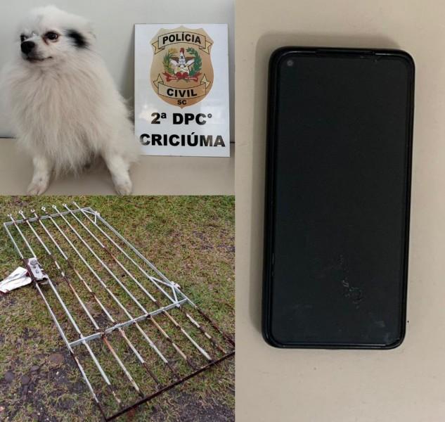 Polícia Civil prende em flagrante suspeito de furto de portão de ferro 