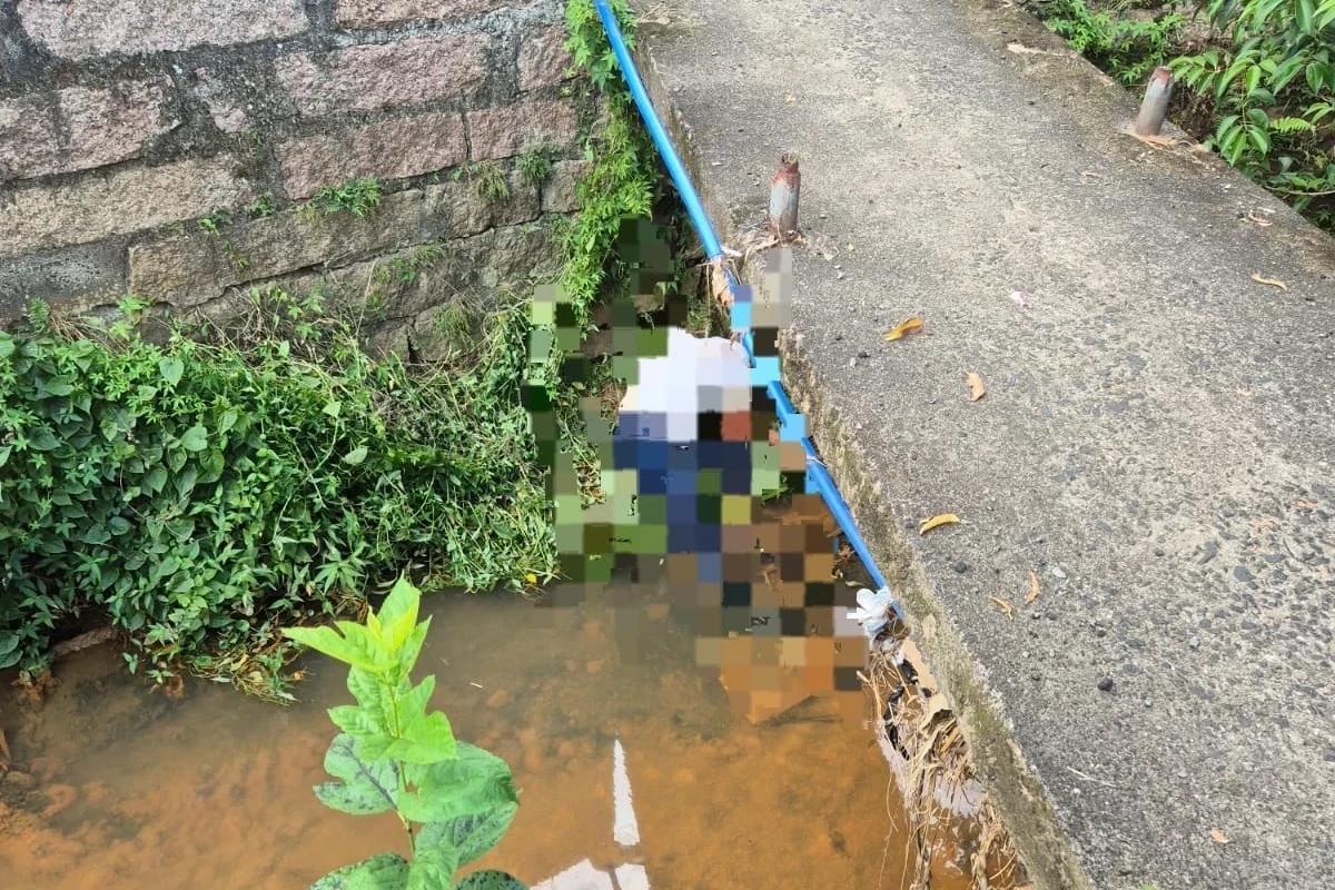 Homem embriagado cai em rio e é resgatado por bombeiros em Criciúma