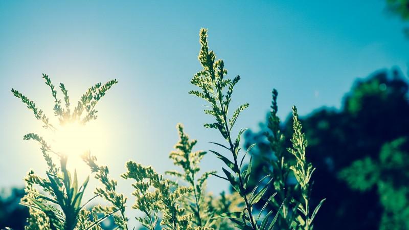Eleição no domingo será com forte calor e previsão de temporal em Criciúma e região  
