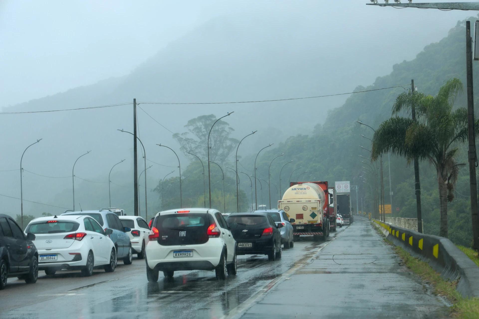 Remoção de árvores no Morro dos Cavalos gera fila nos dois sentidos da BR-101