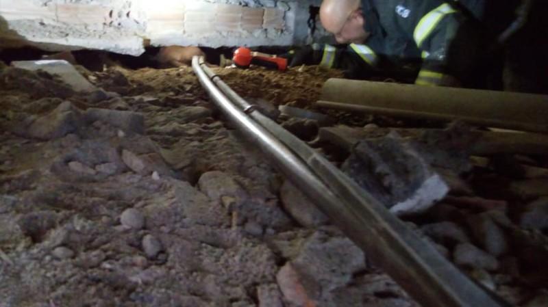Bombeiros resgatam cão preso em fresta 