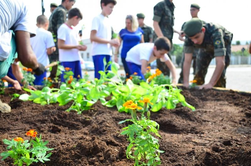 Criciúma Mais Florida: Praças e escolas mais coloridas a partir de hoje