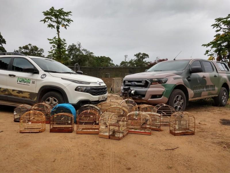 Após denúncia, Fundai e Polícia Ambiental resgatam 21 pássaros silvestres