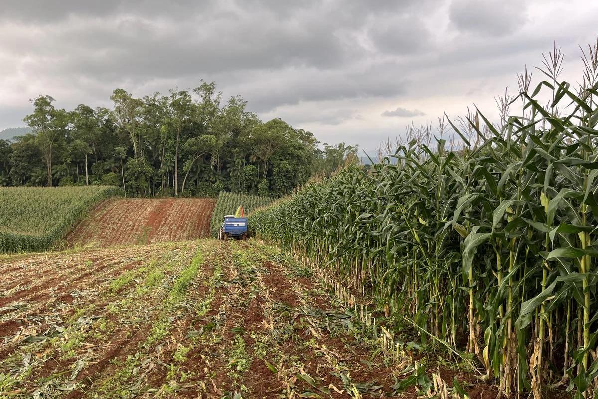 Conferência Desenvolvimento Rural será realizada em Urussanga