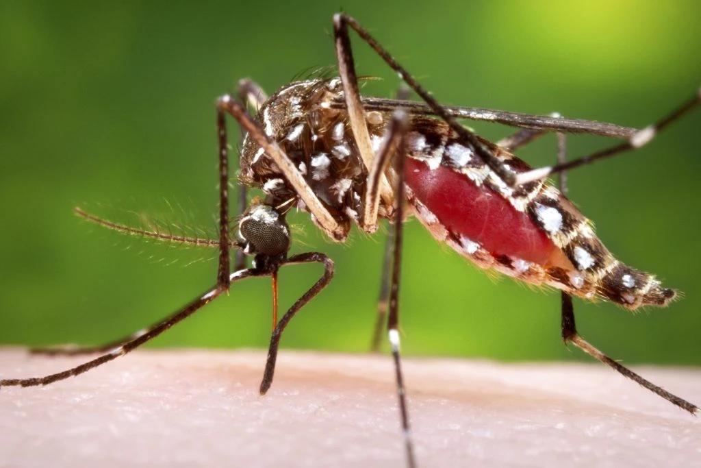 Vigilância em Saúde promove ação de orientação e prevenção à dengue em Criciúma