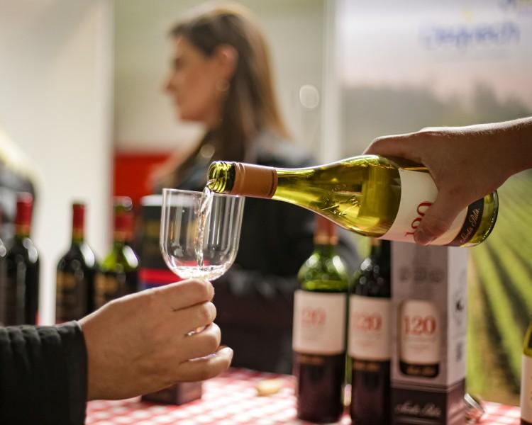 Vino & Formaggio: sommelier dá dicas de vinhos para iniciantes