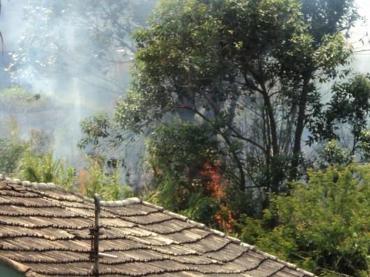 Chamas assustam moradores no bairro Santa Catarina (vídeo)