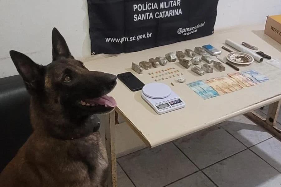 Com ajuda de cão farejador, PM apreende maconha e ecstasy durante patrulhamento