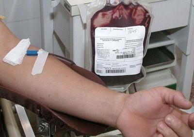 Primeiros voluntários da campanha de doação de sangue vão ao Hemosc 