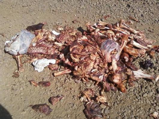 Restos de carne bovina são depositados em ruas do bairro São Roque