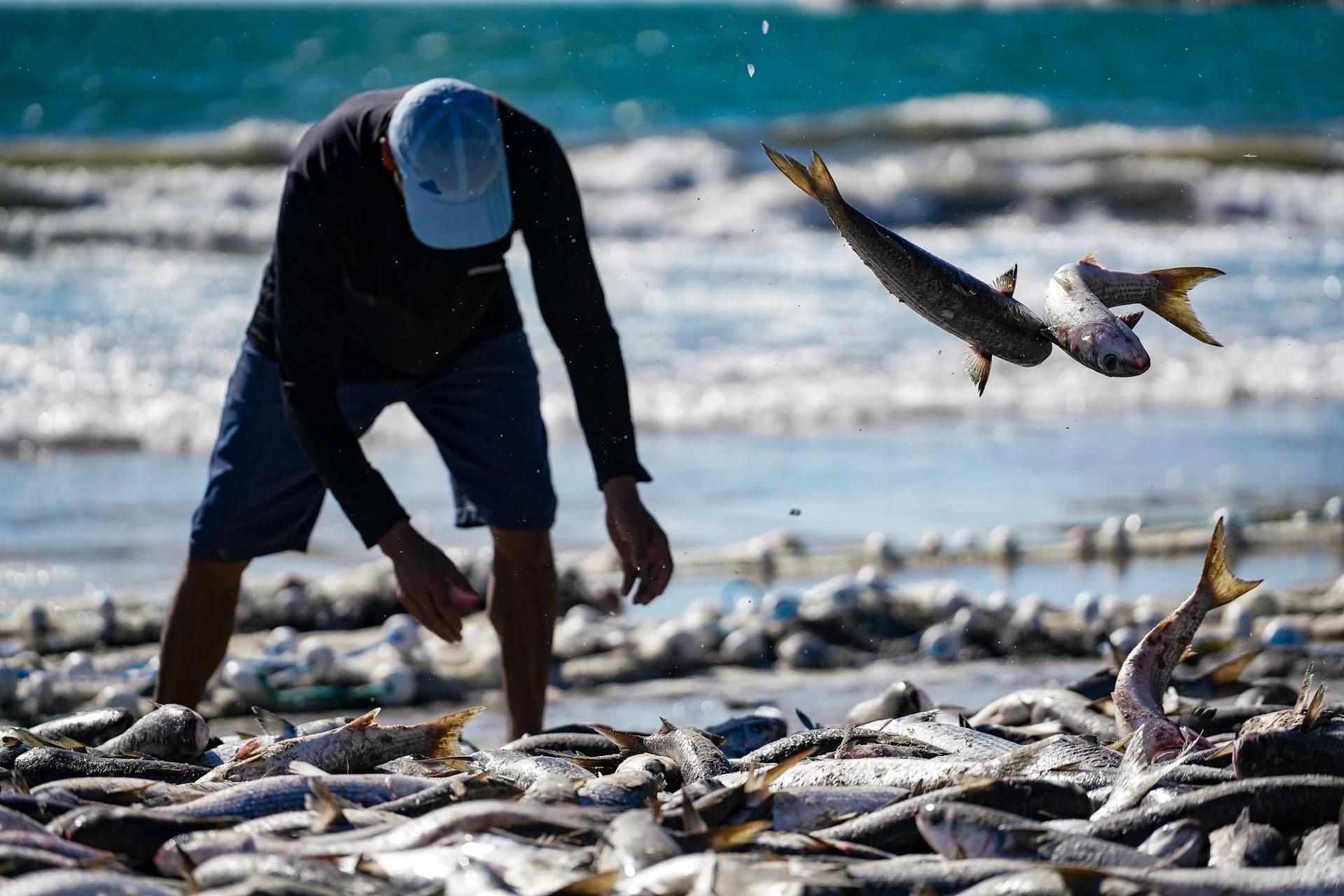 Com drones, pescadores apostam em tecnologia durante pesca da tainha