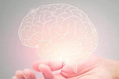 Brain rot: como o excesso de consumo digital afeta o cérebro