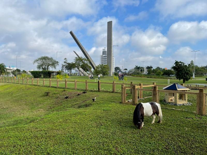 Com pônei, coelho e pato, Fazendinha da Prefa é inaugurada em Criciúma 