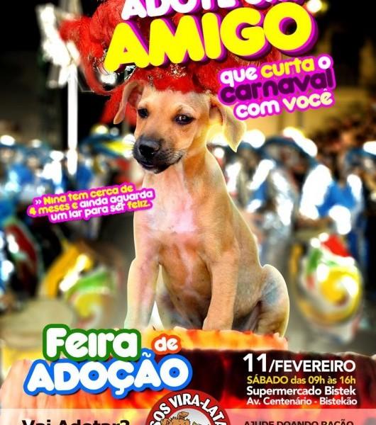 Feira de adoção de cães acontece neste sábado no Bistek
