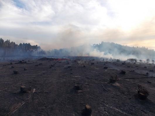 Em Araranguá, bombeiros também combatem incêndio em vegetação