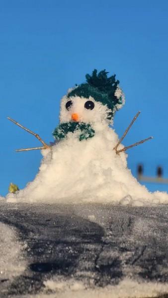 Frio intenso: Serra catarinense registra temperaturas negativas e boneco de gelo reaparece 