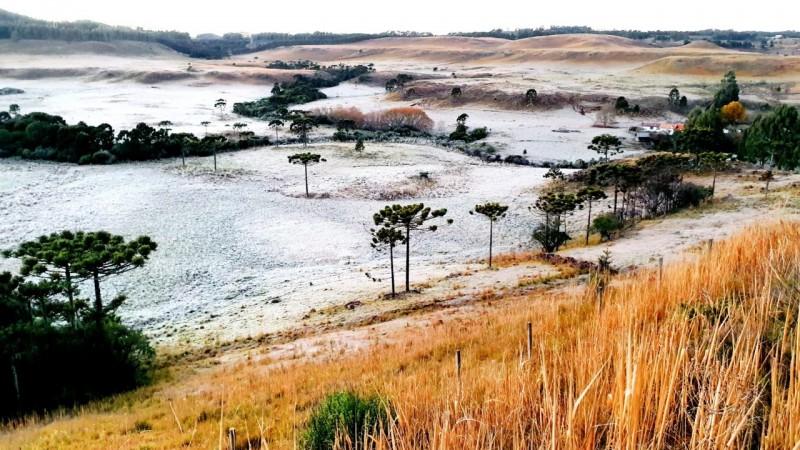 Serra Catarinense: campos cobertos de geada e temperatura de -5,4ºC 
