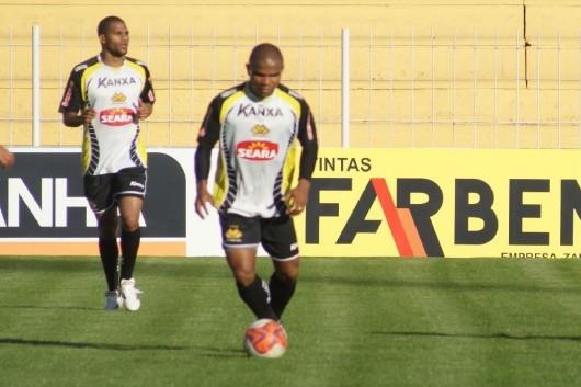 Tigre com dúvidas em Curitiba
