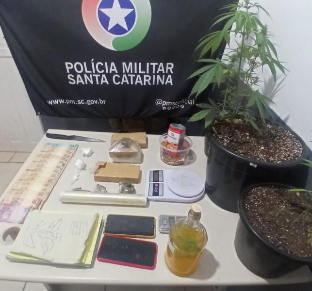 PM apreende mais de um quilo de maconha e três pés da droga em Criciúma