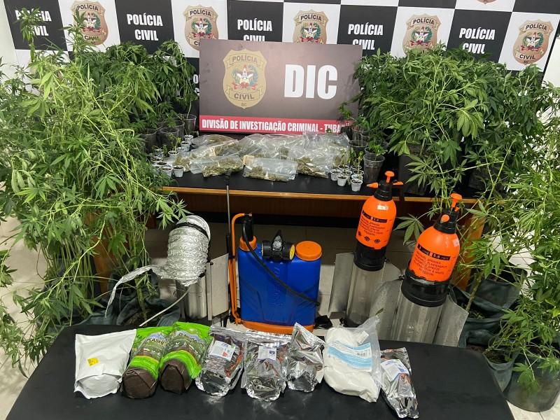 Operação policial apreende grande quantidade de pés de maconha e porções de skank em Tubarão