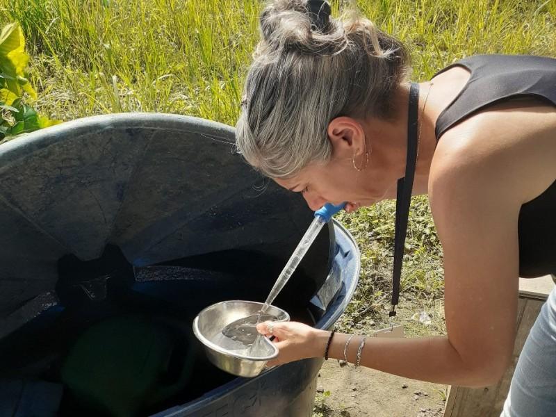 Morro da Fumaça tem primeiro foco do mosquito da dengue identificado