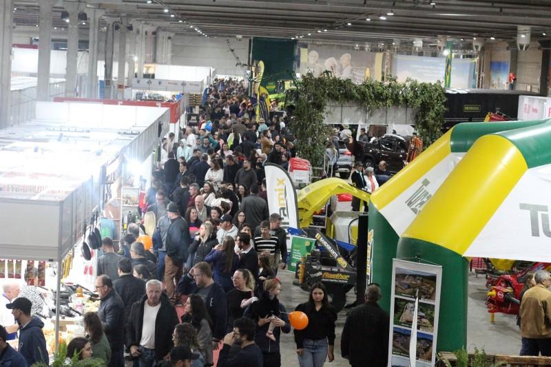 Mais de 100 mil abelhas sem ferrão estarão na AgroPonte; criação pode ser feita em casa 