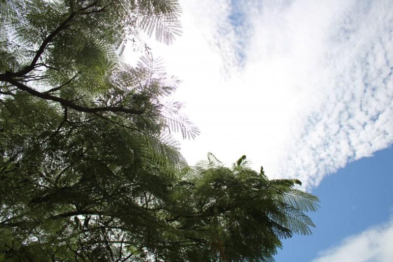 Morro da Fumaça: Defesa Civil dá dicas para enfrentar forte calor