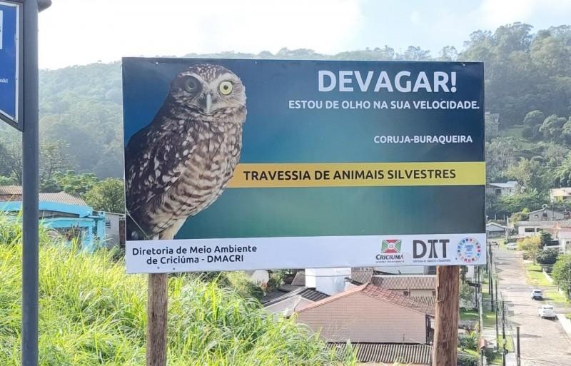 Diretoria de Meio Ambiente realiza ações para prevenir atropelamentos de animais silvestres 
