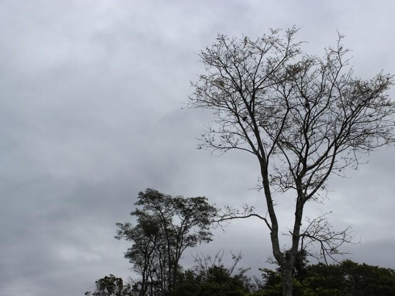 Predominam o sol entre nuvens e pancadas de chuva durante essa semana
